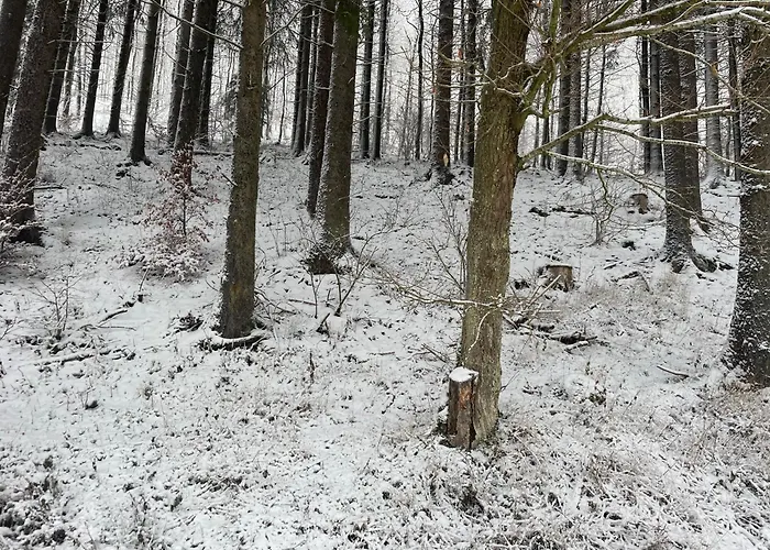 Prázdninový dům Lenzen