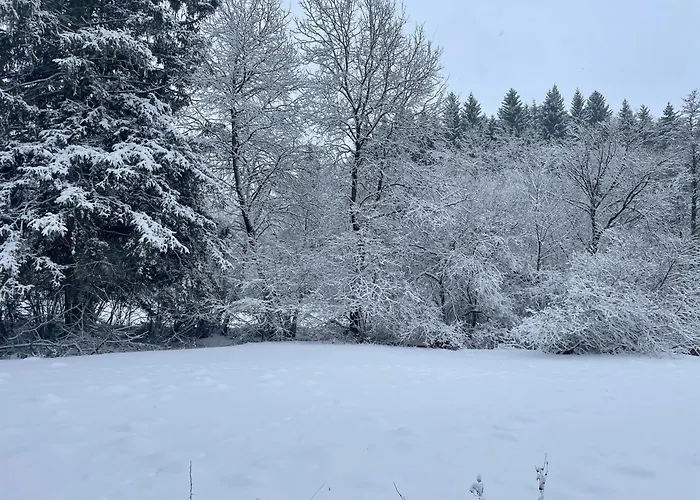 Prázdninový dům Lenzen